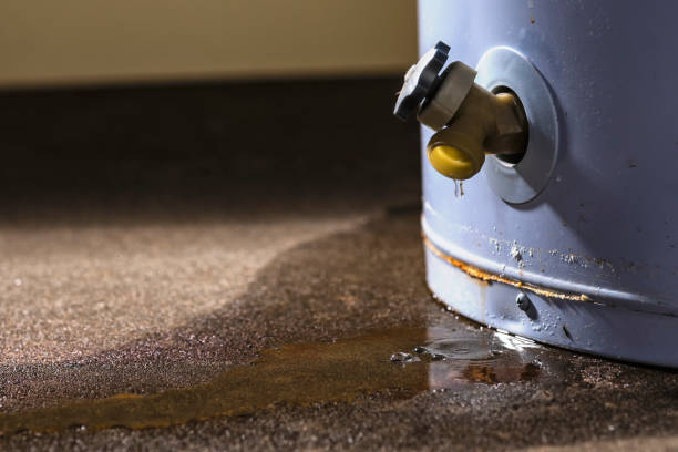 Best Water damage restoration specialists  in Steele Creek, AK