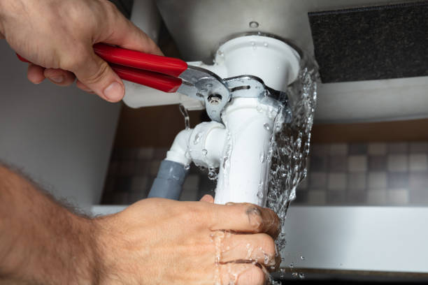 Best Water damage restoration near me  in Steele Creek, AK