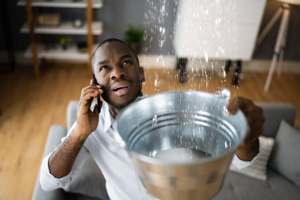 Best Water damage contractors near me  in Steele Creek, AK