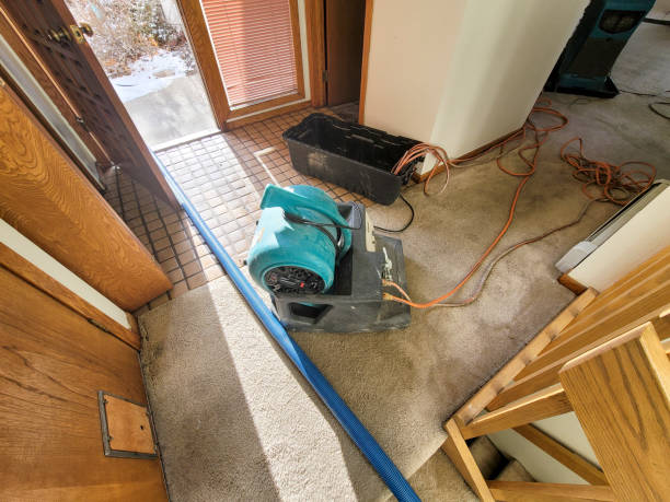 Best Ceiling water damage repair  in Steele Creek, AK