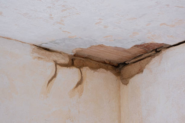 Best Fire Damage Restoration  in Steele Creek, AK