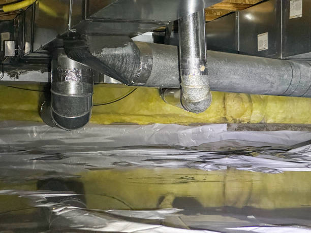 Best Commercial water damage restoration  in Steele Creek, AK