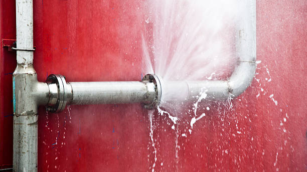 Reliable Steele Creek, AK Water damage restoration Solutions
